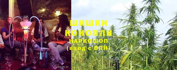 дмт Богородицк
