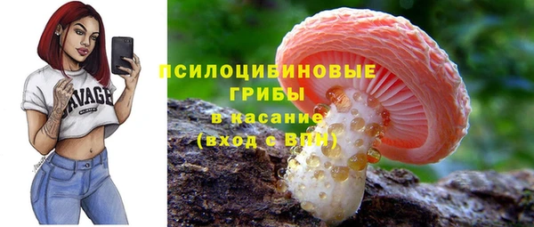 спиды Белокуриха