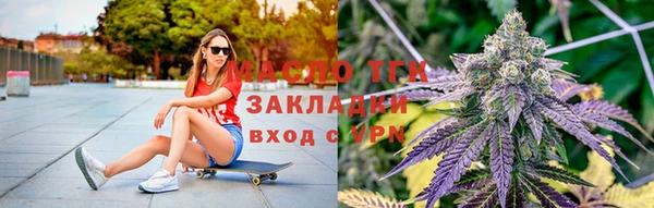 сатива Беломорск
