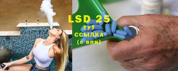 стаф Тайга