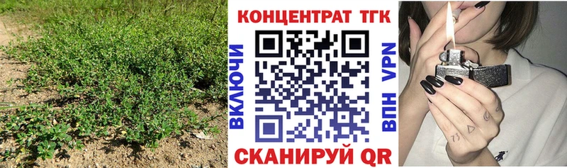Дистиллят ТГК гашишное масло  Короча 